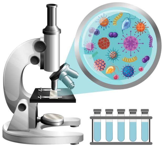 Pathology